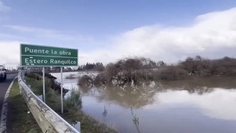 Lluvias e inundaciones golpean la costa de La Araucanía: familias aisladas piden ayuda para sus animales