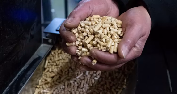 Tras largas esperas y alzas de precios: reconocen estrechez de pellet en La Araucanía