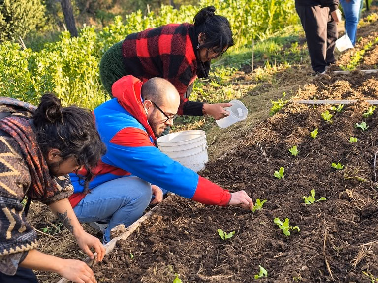 INIA Carillanca conoce experiencias agroecológicas de Ñuble y Biobío para fortalecer producción sustentable en La Araucanía