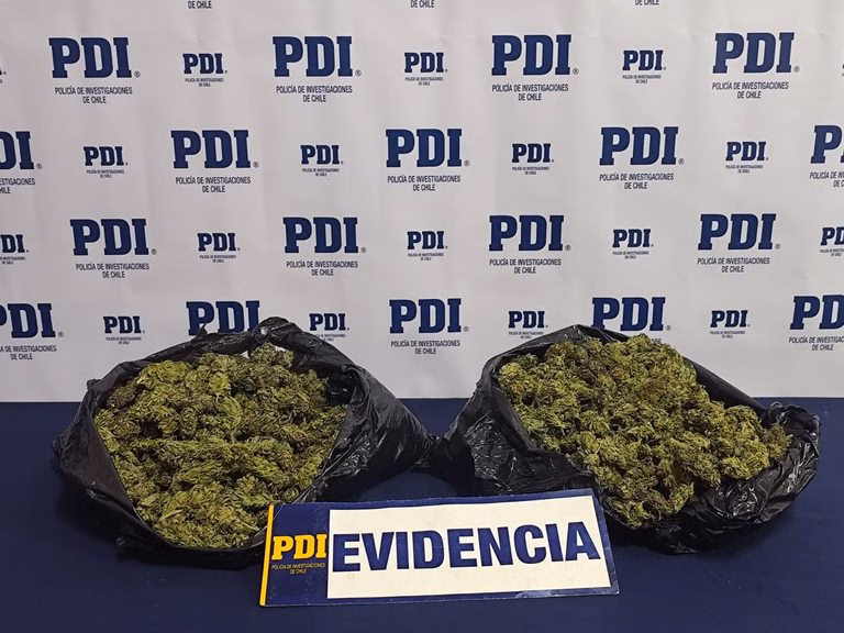 PDI incauta más de un kilo de cannabis en Traiguén: sujeto habría regresado para intentar recuperar la droga