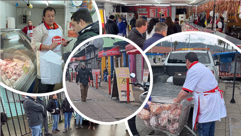 Temuco intensifica fiscalización en carnicerías de Feria Pinto y decomisa 357 kilos de carne