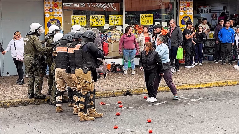 Temuco decomisa 21 toneladas de mercadería en operativos contra el comercio ambulante durante 2026